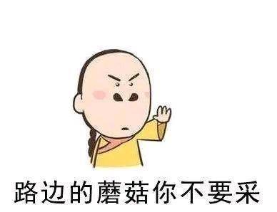 野生|吃野生菌能看见“小精灵”,什么样的蘑菇这么秀?网友:看完想吃