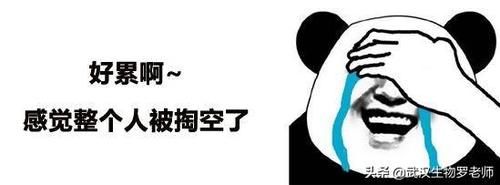 坐班|中小学教师有必要坐班吗?为什么?