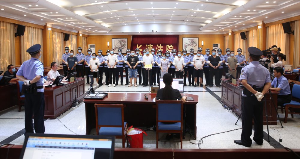 蚂蚁|山东首例“套路搬”案件一审宣判“蚂蚁搬家”专门来法院送锦旗