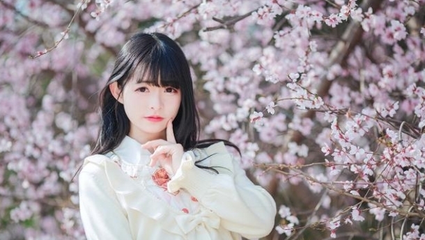 清风|落花为盏,可邀明月,舞清风