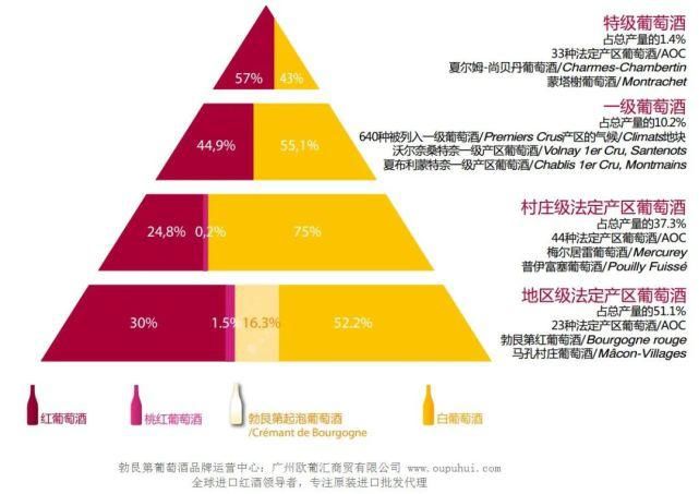  勃艮第|波尔多 VS 勃艮第