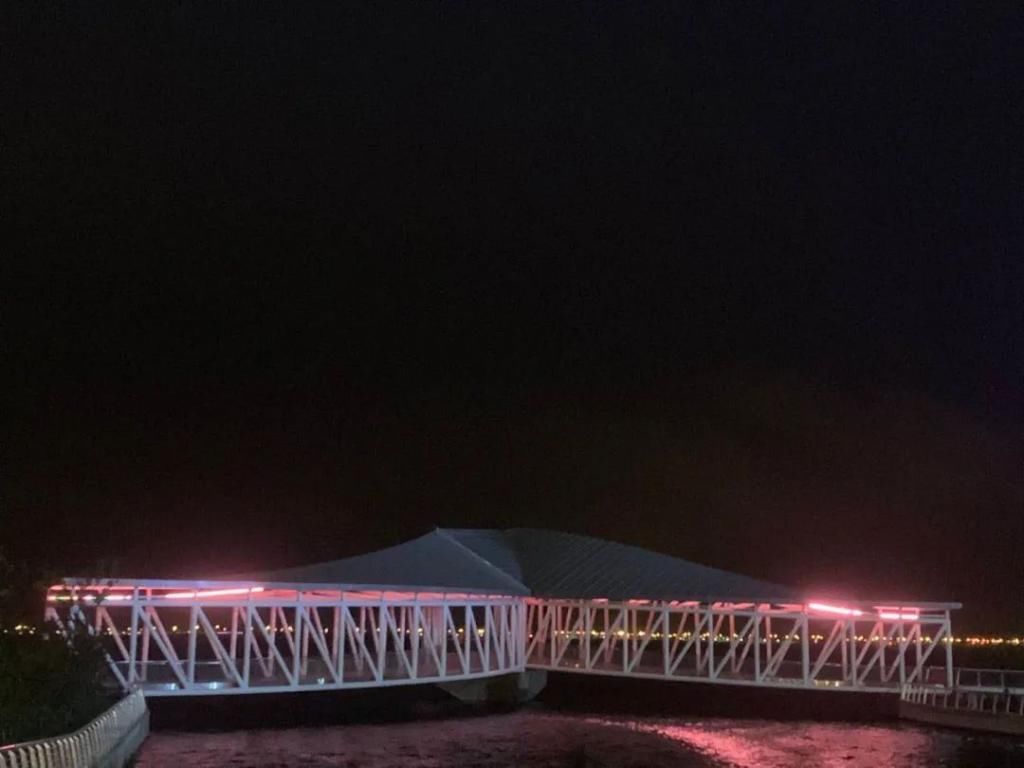 网红|【探索】滴水湖4座“网红”景观桥亮灯啦!快来先睹为快