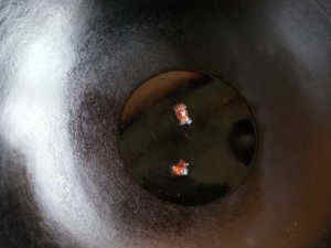 孩子|最近韭菜加虾仁火了,简单一做,鲜香味美,孩子三餐天天吵着吃