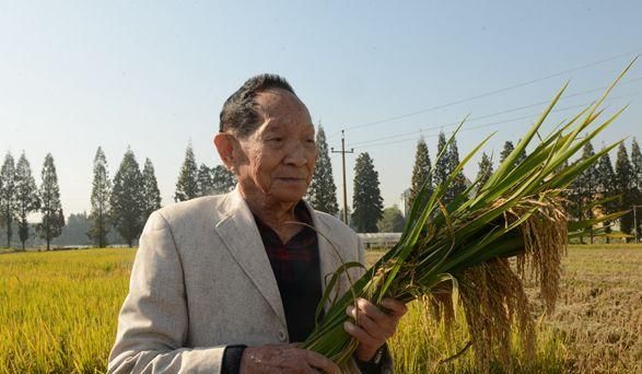 答案|袁隆平是位“千亿富豪”?内部人员道破答案:如果他愿意的话