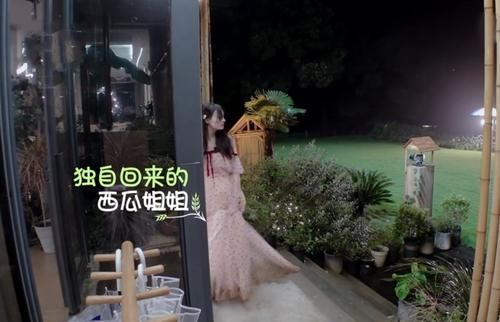  是装不|郑爽破坏节目组规则，有谁注意张新成说了啥？喜欢是装不出来的