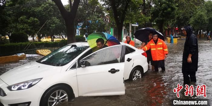 倒伏|强降雨致河南漯河城市内涝、树木倒伏严重