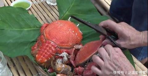 大妈|大妈花300块买了2只“老虎蟹”,一只3斤重,打开蟹壳后懵了