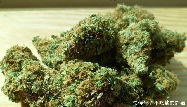 警惕|蔓越莓干中竟夹藏毒品，千万要警惕！