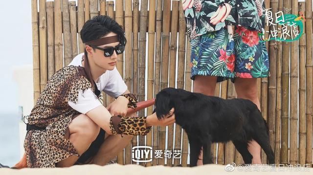  金主|23档新综艺品牌盘点，谁才是金主爸爸的最爱