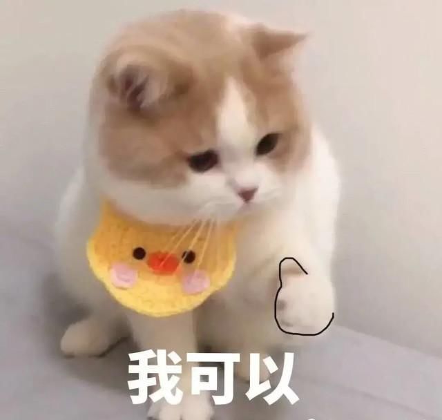  大学生|19级大学生的现状，真的不要太真实了，快来看看我们有没有达成共识