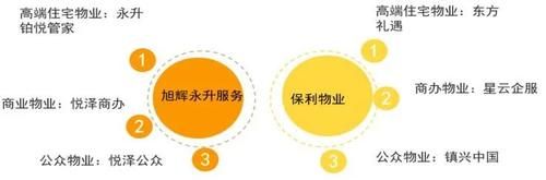 中国|2020中国房地产服务品牌排行榜