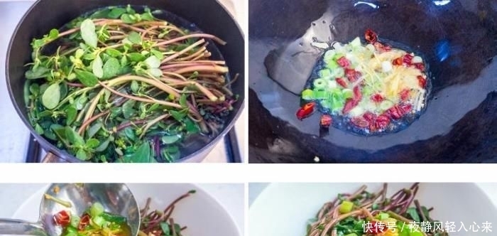  长寿菜|此菜清香甘甜,农民称它“长寿菜”,乡下路边就有,遇到带走