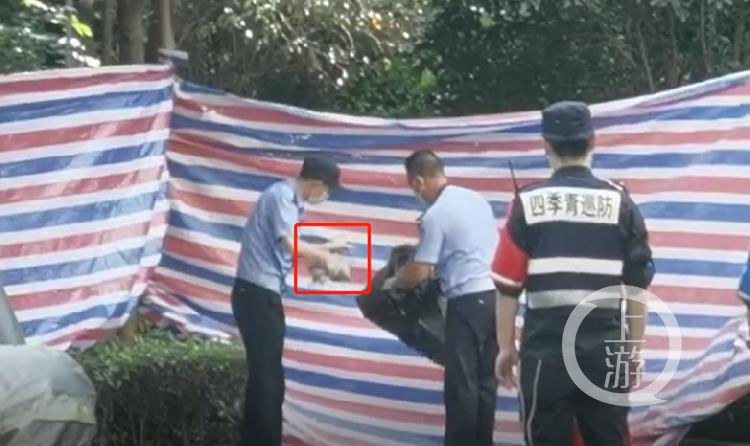 杭州|杭州失踪女子遇害案七大疑点待解:凶案第一现场究竟在哪?