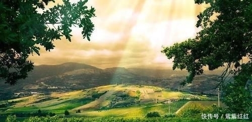 世界|世界前五十!塞浦路斯葡萄酒的前世今生