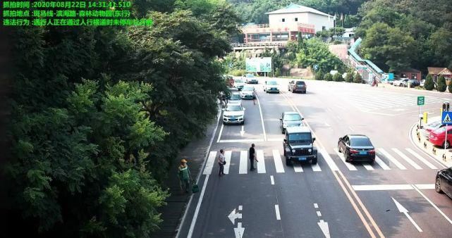 交通违法行|【文明出行】开车打手机，拍的就是你！