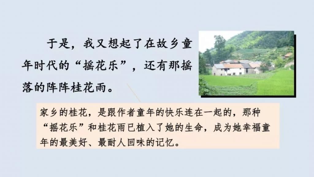 桂花|【预习】部编版五年级语文上册第3课《桂花雨》图文讲解