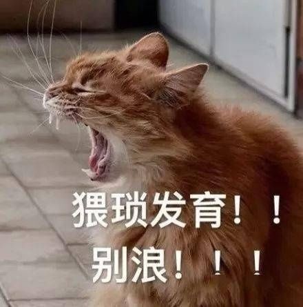 最全|王者荣耀系列表情包（全网最全合集）