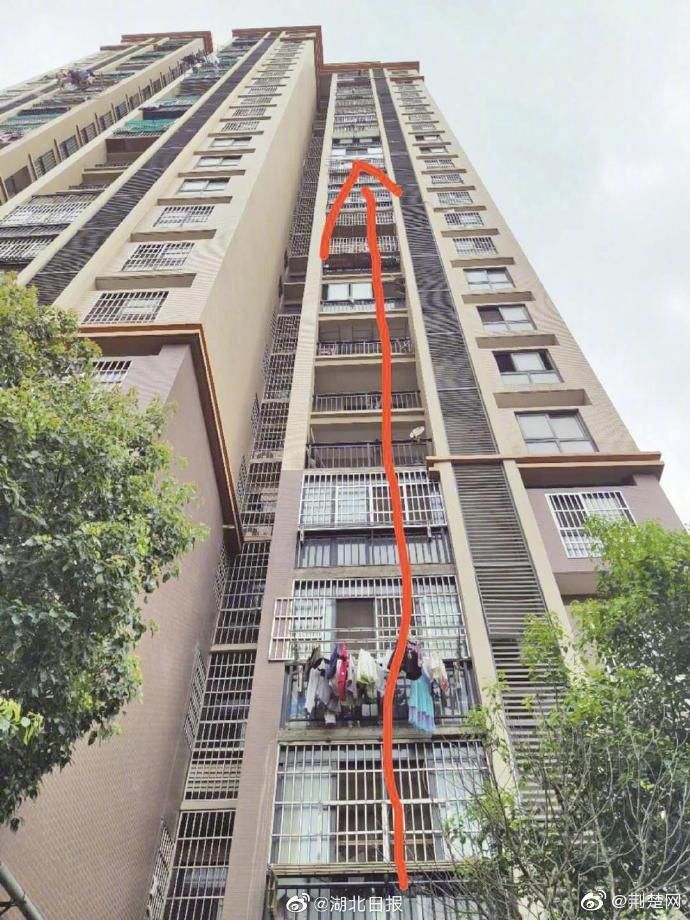  评选|年度沙雕小偷评选，感觉智商受到了侮辱...