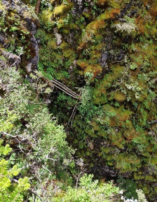 攻略|无深度不云南——丽江巴拉神山徒步穿越攻略