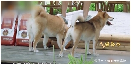 剪辑|《向往的生活》分批录制实锤!吃饭叫外卖,剪辑都圆不回来