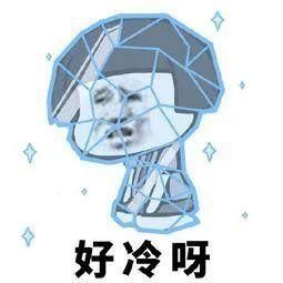  霜冻|@银川人 || 0℃继续！霜冻继续！降温继续！单衣单裤不能再继续！