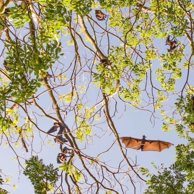  shui|陈燕：光不度，shui水成文