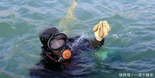 生气|活了6亿年,身娇肉贵,一生气就化水,却还是逃不过中国吃货的嘴