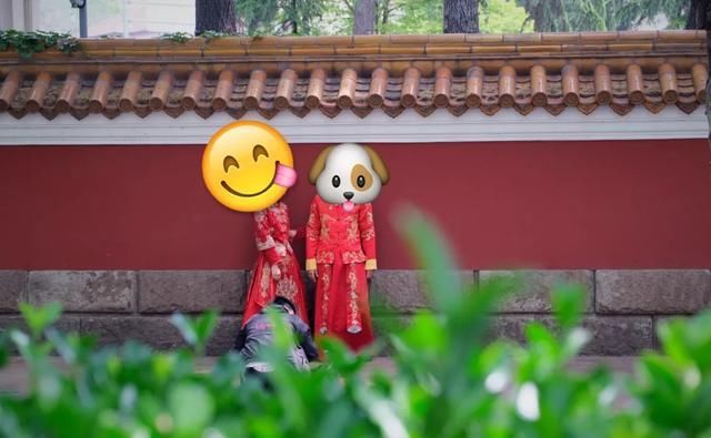 快乐|我在青岛做了这10件小事,找回了久违的快乐