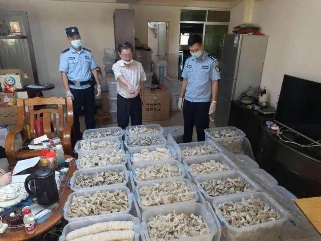  王某进|海关破获家族式走私燕窝团伙案，案值逾10亿元！