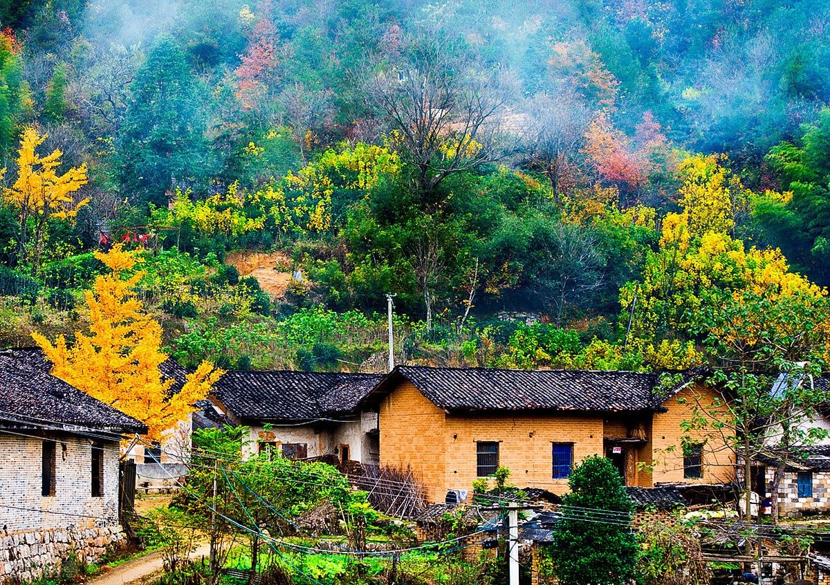 回来|异乡人：秋天了，故乡等你回来晒太阳