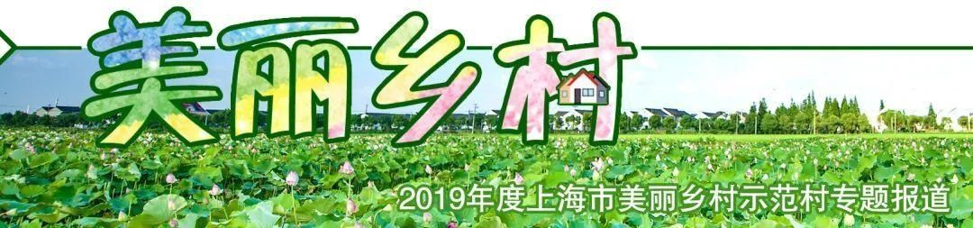 示范村|美丽乡村示范村丨浦东东风村：“东风”徐来 让画卷般的优美生态造福百姓
