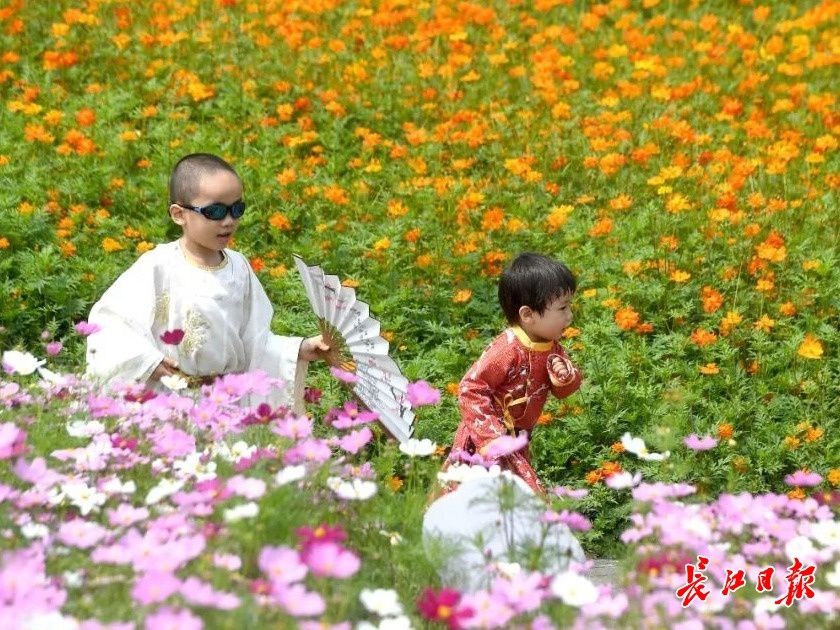 夏天真的来了！气温直逼34℃，但新一轮降雨即将上线︱早安武汉