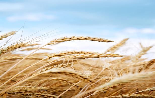  美国|美国10岁小女孩给母亲留下字条后服药自杀，字条内容或许另有蹊跷