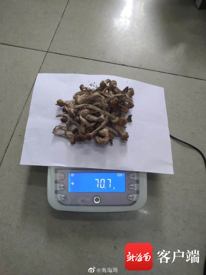 出动|新型毒品“茶树菇”、K3现身三亚!警方出动抓捕……