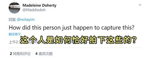  引发|毁灭性爆炸引发巨型橙色蘑菇云，谁是「元凶」？