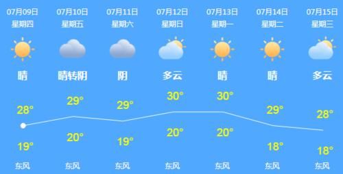  郭平宇|一场疾风暴雨，大树倾倒，树下货车被砸了！