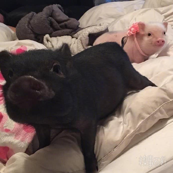  男朋友|天呐！！你和你男朋友的大量私密照和开房照被曝光了！！