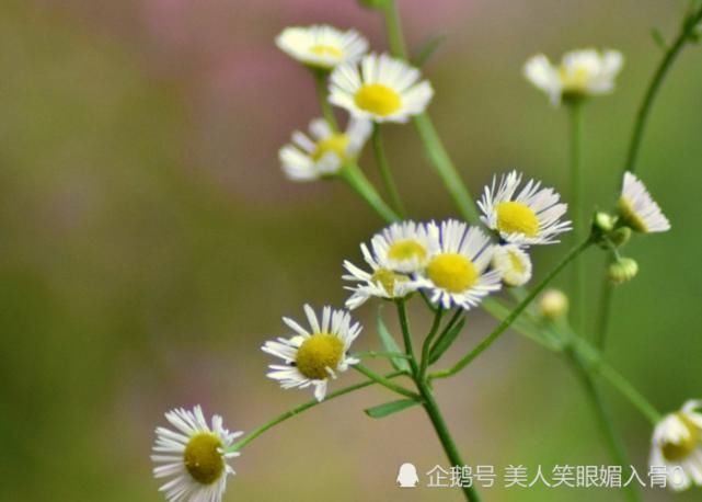  财源滚滚|七月开始：财源滚滚来，事业顺财运旺，事业顺遂的生肖