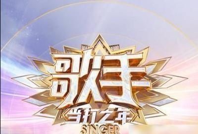  声乐|歌手：演唱歌曲和其他声乐作品的娱乐界人士，请不要误会