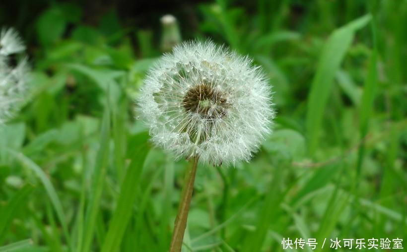 组合|这两个生肖做夫妻，感情特别深厚，在一起就是天长地久！