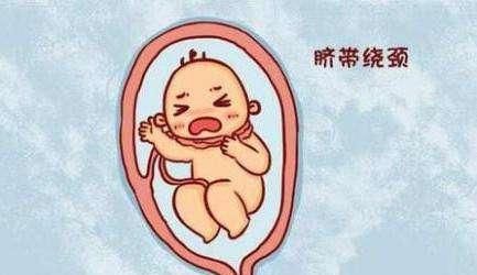  宝宝|宝宝没出生之前，每天在妈妈的肚子里做些什么？会经常做这7件事