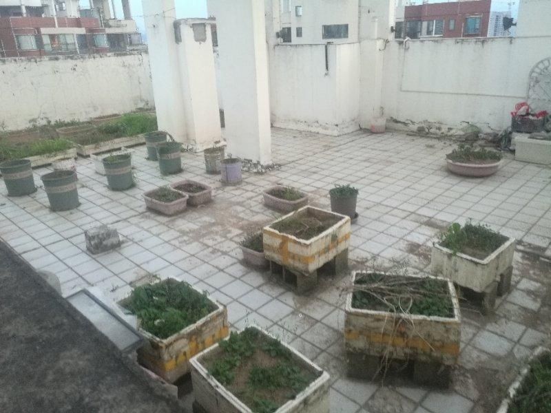 碧水|碧水兰庭1号楼28楼楼顶乱搭建围墙