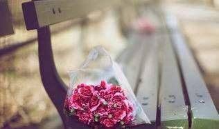 久别重逢|我们相遇,匆匆离去