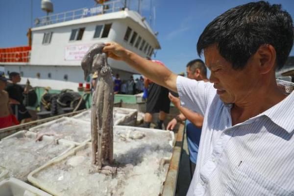 海鲜|舟山：开渔后，第一波海鲜上岸啦