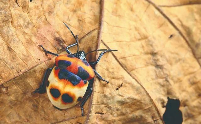 生长|云之南，一个生生不息、万物生长的地方