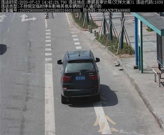 驾驶机动车违反道路|泰顺这些车主被曝光！