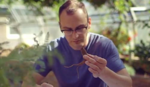  魔法|哈利波特40岁了，我才走进现实中的魔法世界