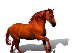 赤兔马|揭秘：在三国历史上的那些不得不说的绝世名马