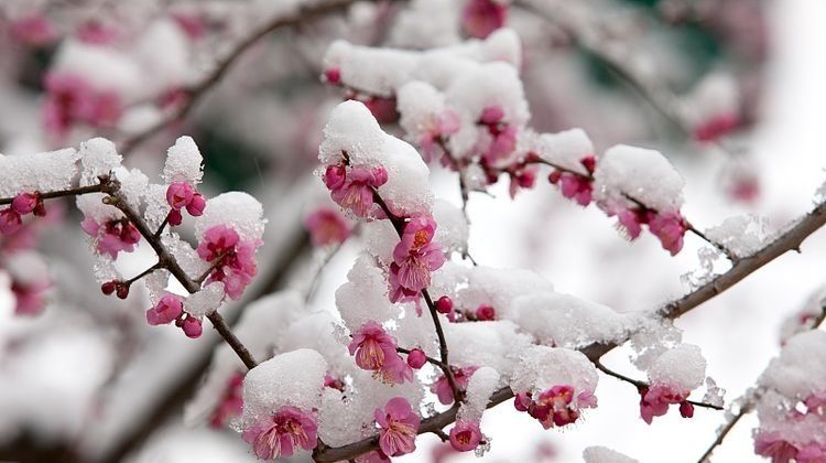 称心如意|8月1号开始运势旺, 财多福气多, 生活称心如意, 3生肖运势会爆发