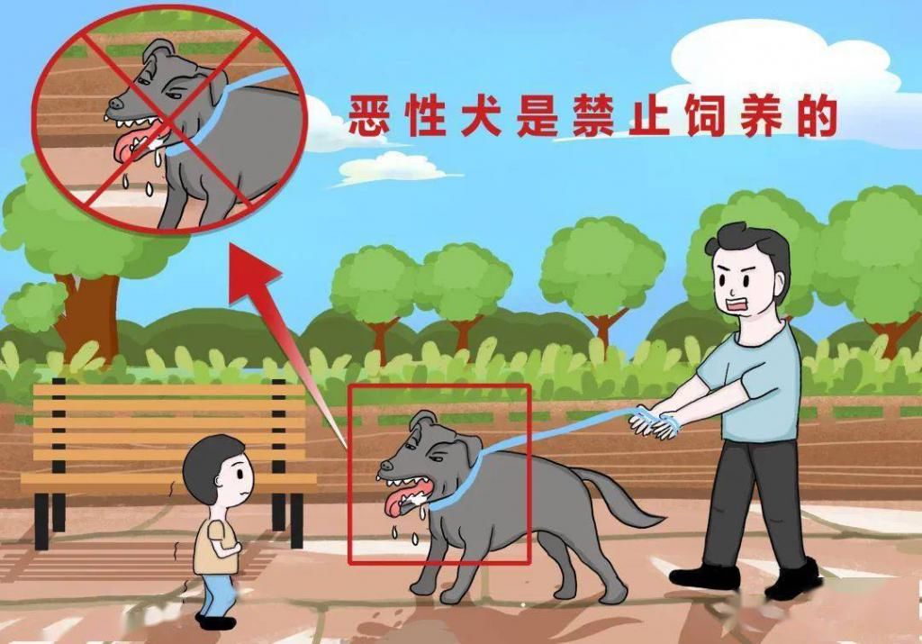 元以下罚款|我猜你闯不过第三关